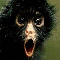 Flipando (@flipandocolours) 's Twitter Profile Photo