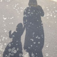 Sarah (@mrsdundas85) 's Twitter Profile