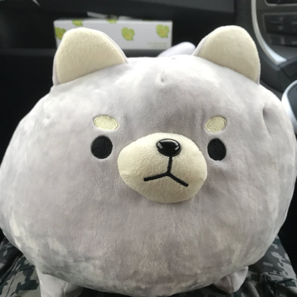 bfjw1103's profile picture. 音楽/海外ドラマ/HTF