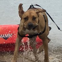 Pete Woods (@reapinstein) 's Twitter Profile