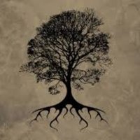 CHAYAH - H2421 (@chayahshah) 's Twitter Profile