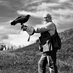 P R Falconry (@PRFalconry) Twitter profile photo