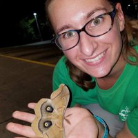 Brenna Decker (@buggyb1020) 's Twitter Profile