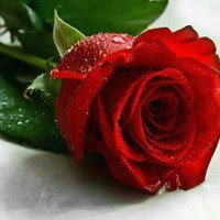 sss (@bfqhocj1fis67zq) Twitter profile photo