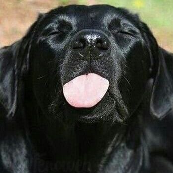 ducduc76's profile picture. 