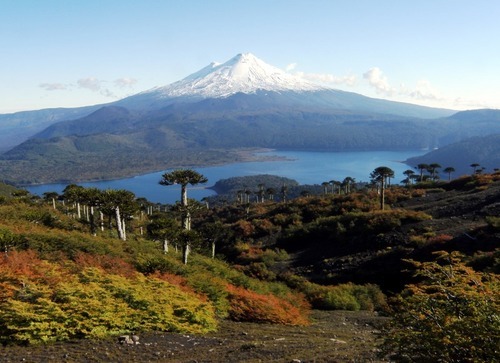 Twitter oficial de los Parques Nacionales de Chile