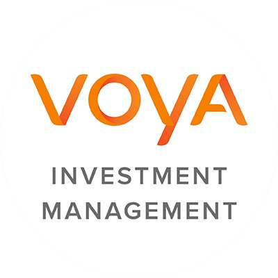 Voya Investment Management is a leading asset management firm. Investing for the future means selecting the right partner. Disclosure: https://t.co/ztYPrQVAtf