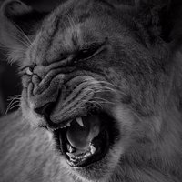 Versatile Adventures (@versatilewildke) 's Twitter Profile
