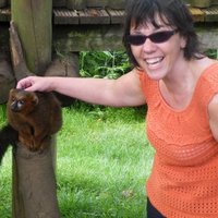 Wendy Tungate (@tungatewendy) 's Twitter Profile Photo Wendy Tungate (@tungatewendy) 's Twitter Profile Photo
