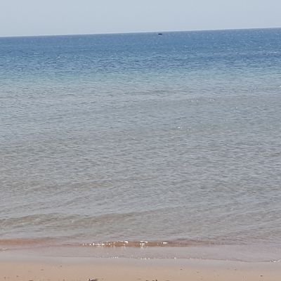 ismailabdo19's profile picture. 