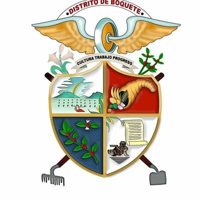 Consejo Municipal de Boquete rinde informe