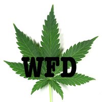 weed_feed_daily(@WeedFeed_Daily) 's Twitter Profileg