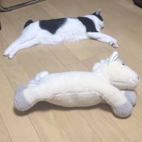 かたる (@katan3rd) 's Twitter Profile
