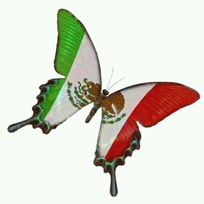 medinay090's profile picture. leongto