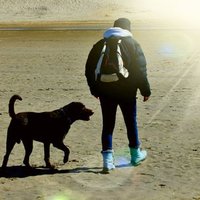 UnaTiaLejana (@elsavangaalen) 's Twitter Profile Photo UnaTiaLejana (@elsavangaalen) 's Twitter Profile Photo