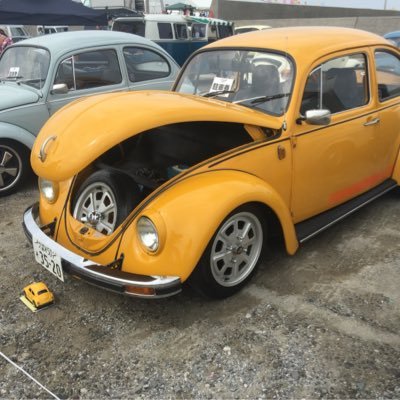 vyc6Mlac9ZGc49r's profile picture. よろしく日常的なことをツイートします