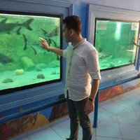 Hasan (@yasann6) 's Twitter Profile