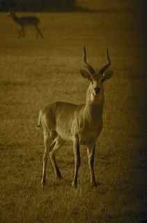 GoGoK8's profile picture. Loves passport stamps more than coffee and chocolate. Focused on sustainable development here and abroad.  RT does not equal endorsement.