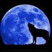 🐺™ (@urcr8d4me) Twitter profile photo 🐺™ (@urcr8d4me) Twitter profile photo