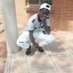 BonganiDbongz (@bonganidbongz1) Twitter profile photo BonganiDbongz (@bonganidbongz1) Twitter profile photo