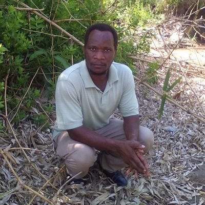 233Fidelis's profile picture. Sports