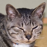 hd2614 (@hd26141) 's Twitter Profile Photo hd2614 (@hd26141) 's Twitter Profile Photo