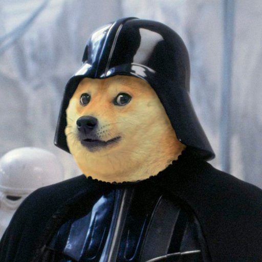 Just a Doge trying to make my way through the Cryptoverse. #Bitcoin Longs Matter.