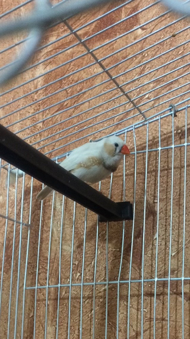 mrakramamir's profile picture. I am sure of that you’ll never know someone like me