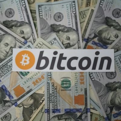 bitbos1's profile picture. cryptobadger