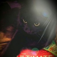 Psychic Kitties(@PsychicKitties) 's Twitter Profile Photo