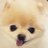 (-'ﾛ'-  )のアイコン