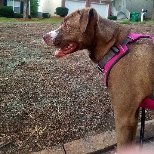 Tha_Rellest's profile picture. 