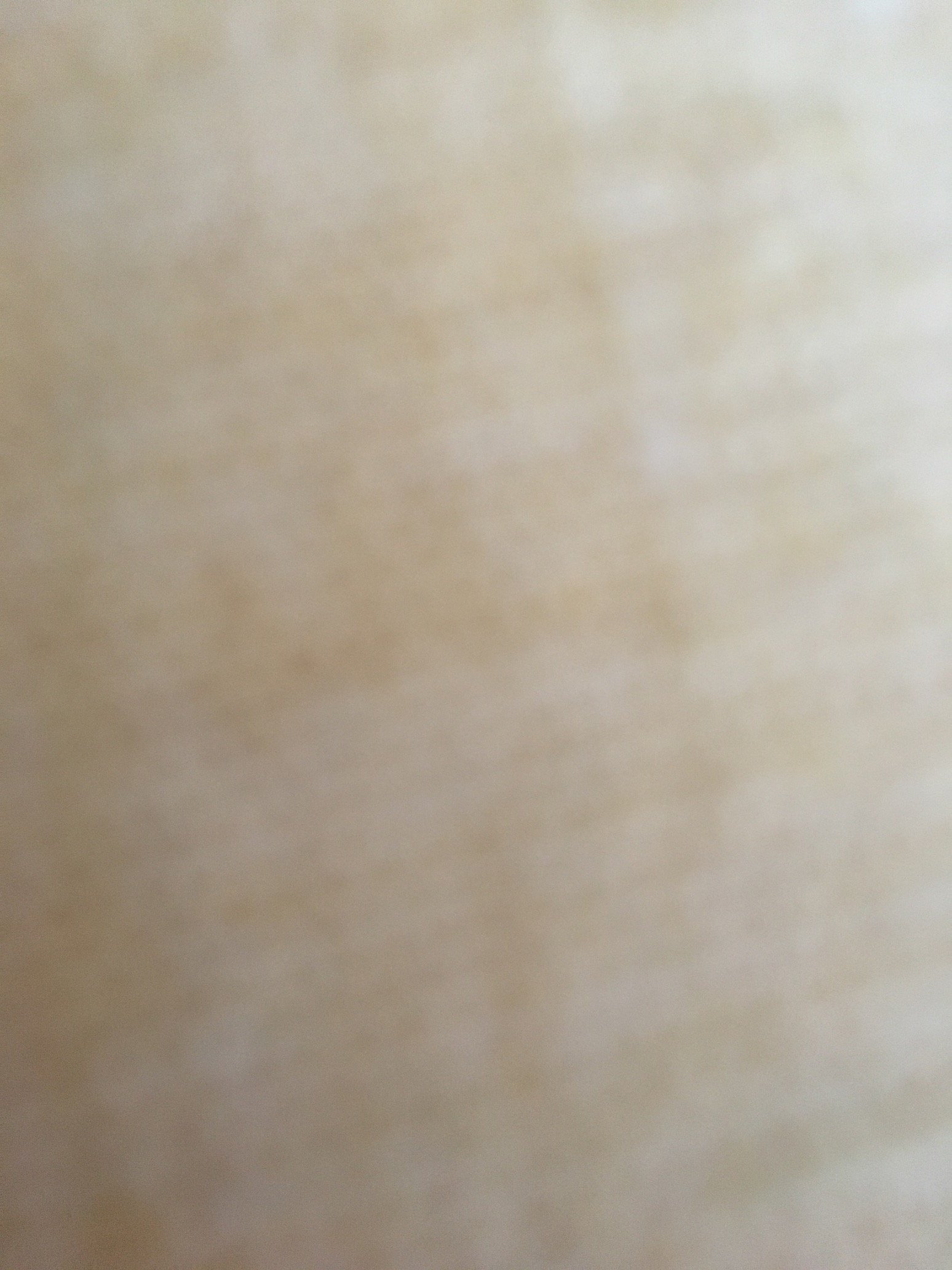 BCanhex's profile picture. 