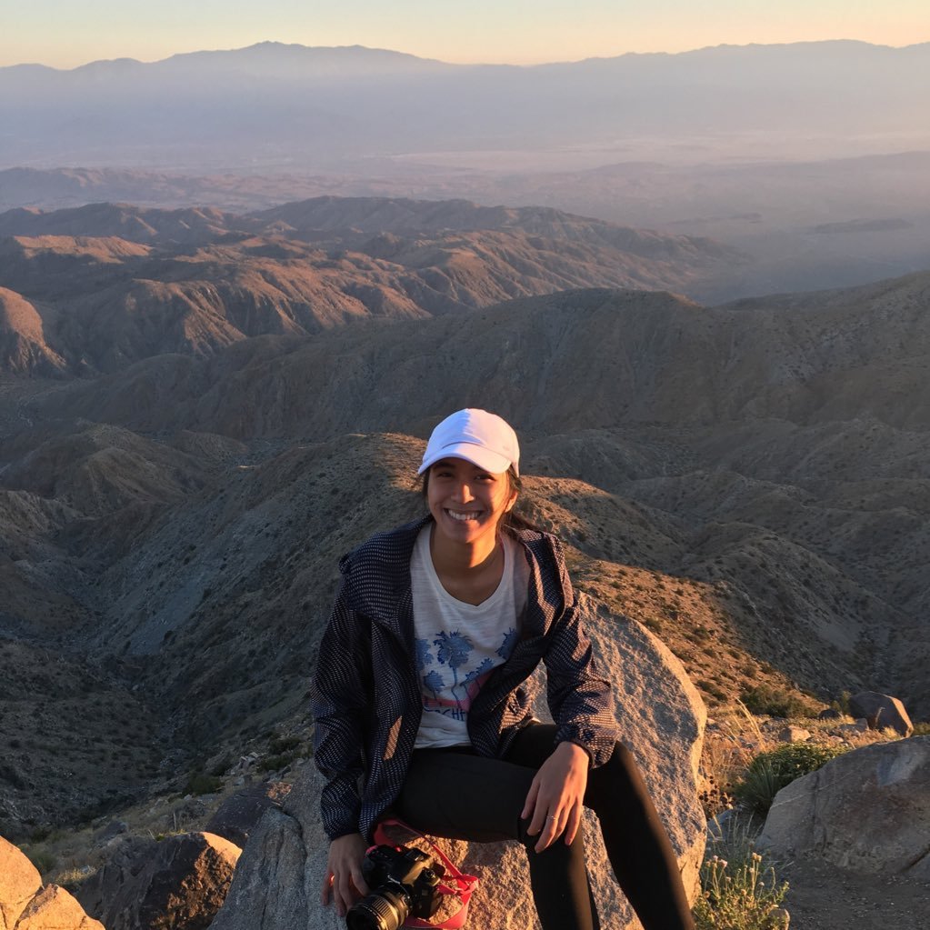 mollymartirez's profile picture. i make cool things on the internet.