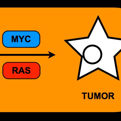 Lab of Andrei Goga at UCSF. Especially interested in oncogene function, cell cycle regulation, small RNAs and metabolism. Tweets by lab members.