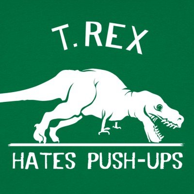 My Goal for 2017: Push-ups every day, adding one more for each day. On December 31st, I will have completed 66,795 push-ups.   What are your goals? #PushingIt