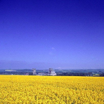 ROMANPANKIW's profile picture. Слава Україні! Героям Слава!   Hibernian🇳🇬! Leith🇪🇺! Edinburgh🏴󠁧󠁢󠁳󠁣󠁴󠁿! 🇺🇦Ukraine! Scotland! Слава Україні!