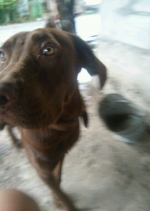 jesus20amado's profile picture. 