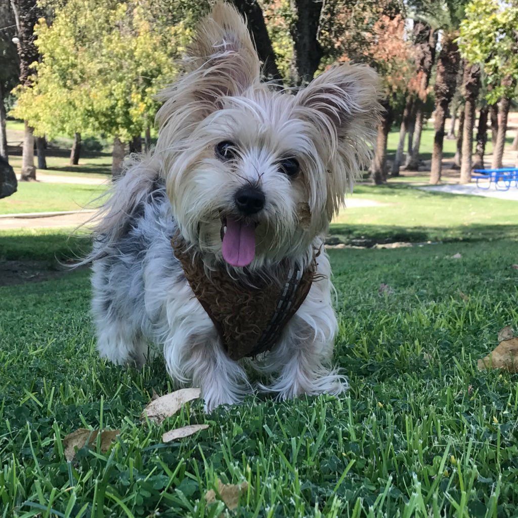 sackgirlsol's profile picture. 