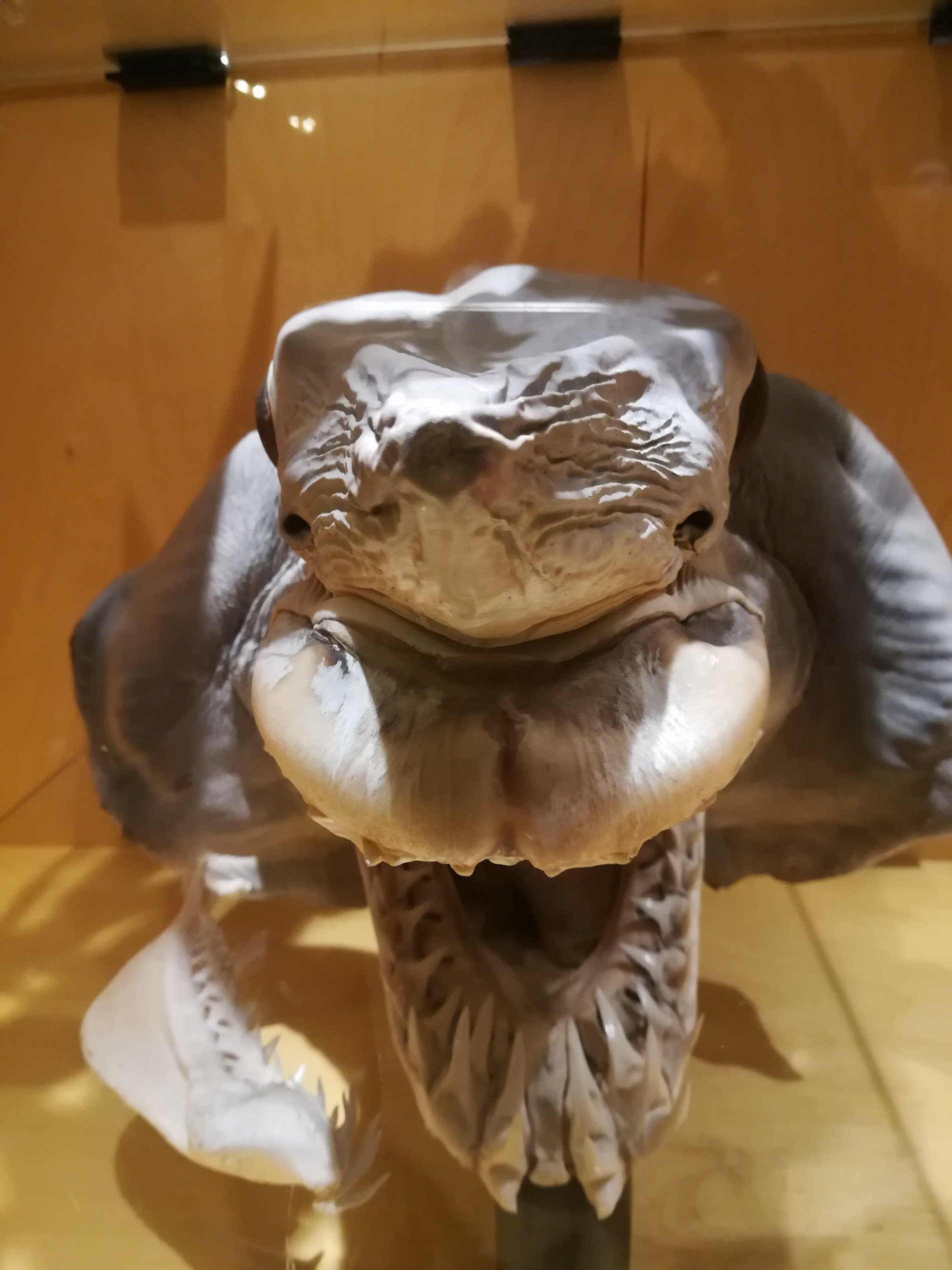 AntonioVallado4's profile picture. Discreción. Ante todo, discreción