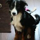 Sue Daniels - @Danni631 - Twitter