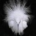 swallow (@salida12) Twitter profile photo swallow (@salida12) Twitter profile photo