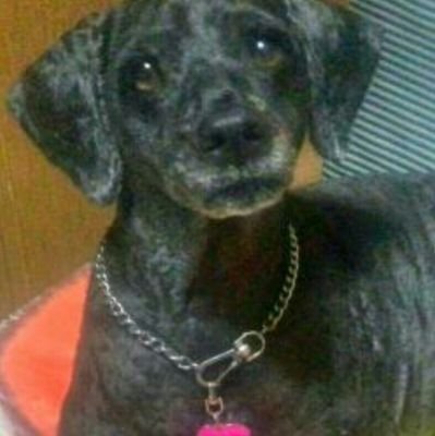 ura_1012's profile picture. 