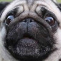 T-ma (@tjanga) Twitter profile photo
