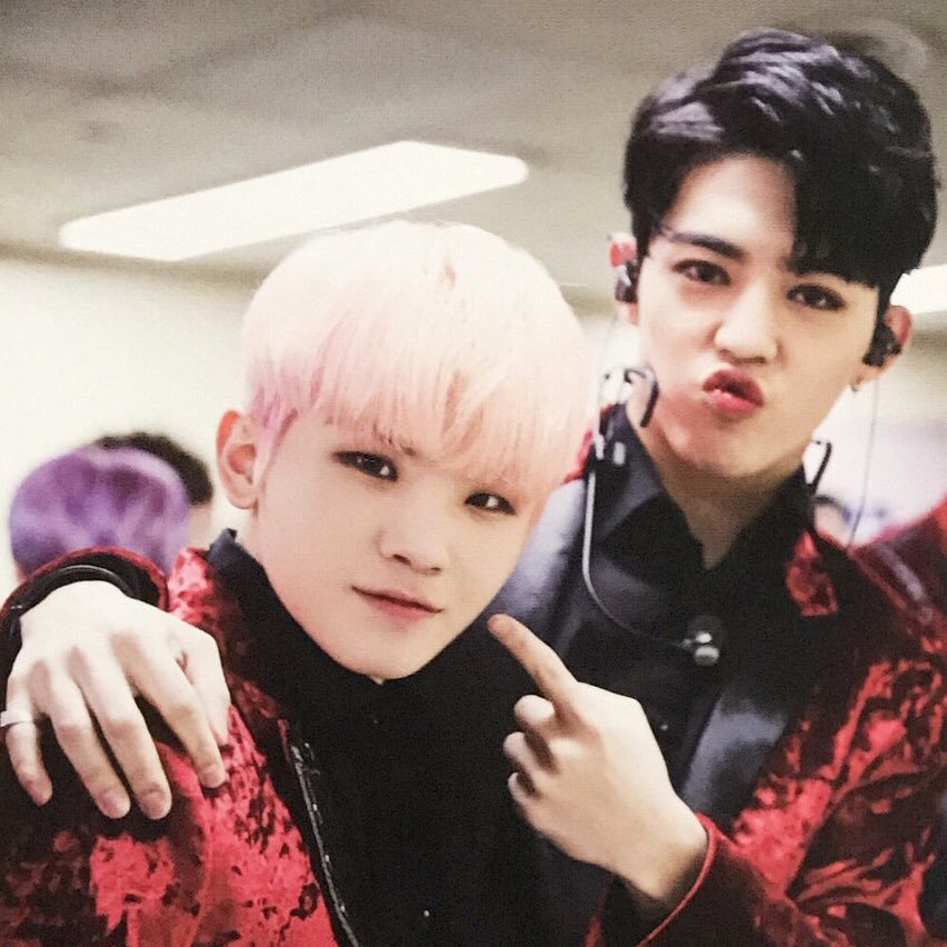 the first softbot acct for jicheol *:・゚✧*:・゚✧ #지철
