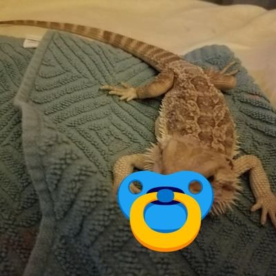 Cstoia1's profile picture. i. love. jimmy. lee