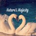 Nature's Majesty (@NatureMajesty) Twitter profile photo