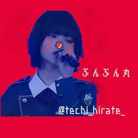 ぷんぷん丸@平手友梨奈神推し (@techi_hirate_) 's Twitter Profile
