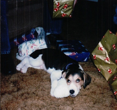 Mo_Grl_101's profile picture. I enjoy drinking coffee and drawing. What is better than that?!