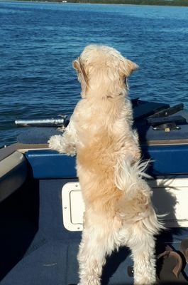 mulgrove73's profile picture. 